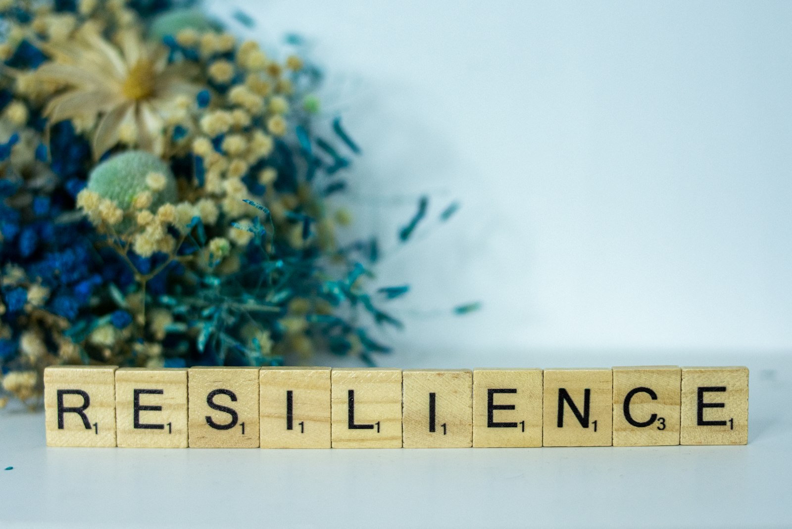Résilience en crise : six capacités des PME qui tiennent le choc